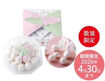 わさんぼん羽根さぬき