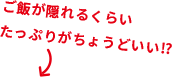 ご飯が隠れるくらいたっぷりがちょうどいい⁉︎