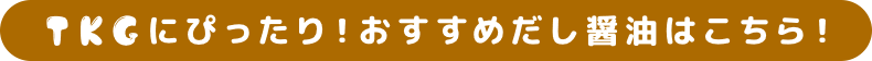 TKGにぴったり！おすすめだし醤油はこちら！