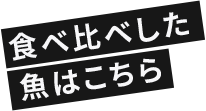 食べ比べした魚はこちら