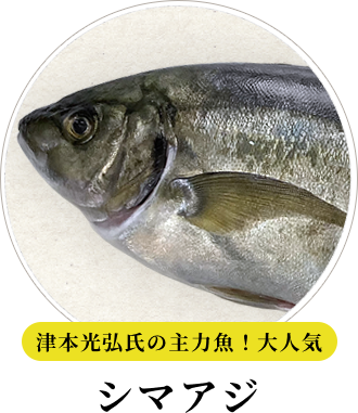 津本光弘氏の主力魚！大人気 シマアジ