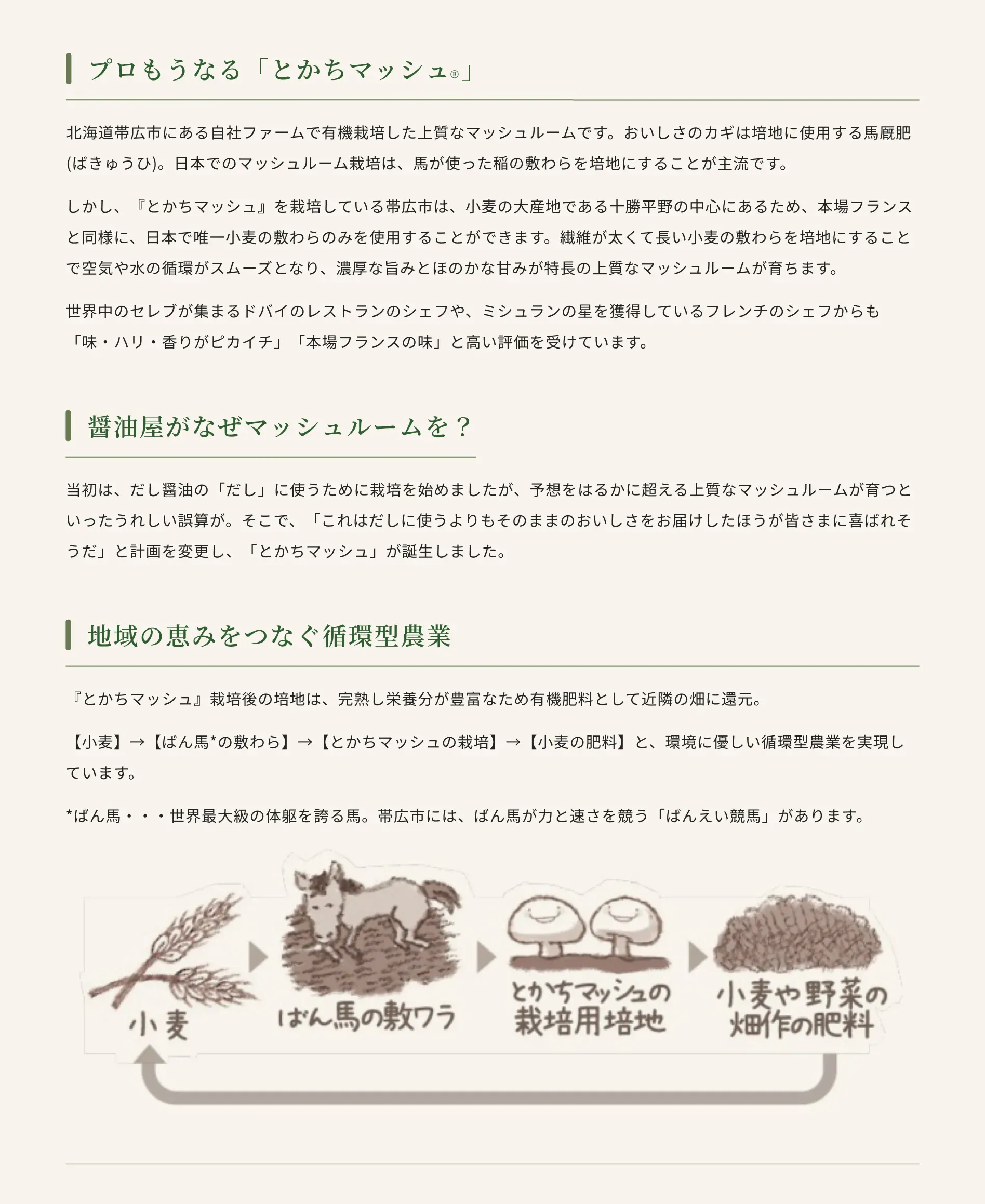 プロもうなる「とかちマッシュ®」北海道帯広市にある自社ファームで有機栽培した上質なマッシュルームです。おいしさのカギは培地に使用する馬厩肥(ばきゅうひ)。日本でのマッシュルーム栽培は、馬が使った稲の敷わらを培地にすることが主流です。しかし、『とかちマッシュ』を栽培している帯広市は、小麦の大産地である十勝平野の中心にあるため、本場フランスと同様に、日本で唯一小麦の敷わらのみを使用することができます。繊維が太くて長い小麦の敷わらを培地にすることで空気や水の循環がスムーズとなり、濃厚な旨みとほのかな甘みが特長の上質なマッシュルームが育ちます。世界中のセレブが集まるドバイのレストランのシェフや、ミシュランの星を獲得しているフレンチのシェフからも「味・ハリ・香りがピカイチ」「本場フランスの味」と高い評価を受けています。 醤油屋がなぜマッシュルームを？ 当初は、だし醤油の「だし」に使うために栽培を始めましたが、予想をはるかに超える上質なマッシュルームが育つといったうれしい誤算が。そこで、「これはだしに使うよりもそのままのおいしさをお届けしたほうが皆さまに喜ばれそうだ」と計画を変更し、「とかちマッシュ」が誕生しました。 地域の恵みをつなぐ循環型農業 『とかちマッシュ』栽培後の培地は、完熟し栄養分が豊富なため有機肥料として近隣の畑に還元。【小麦】→【ばん馬*の敷わら】→【とかちマッシュの栽培】→【小麦の肥料】と、環境に優しい循環型農業を実現しています。 *ばん馬・・・世界最大級の体躯を誇る馬。帯広市には、ばん馬が力と速さを競う「ばんえい競馬」があります。