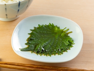 青じその醤油漬け