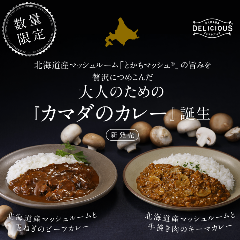 大人のためのカマダのカレー