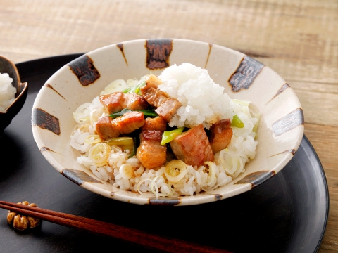 ねぎご飯の甘辛豚肉のせ