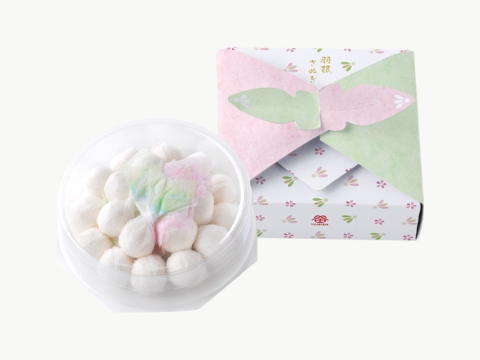 わさんぼん羽根さぬき