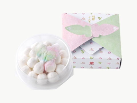 わさんぼん羽根さぬき