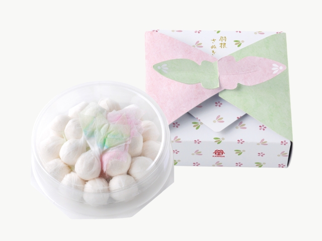 わさんぼん羽根さぬき